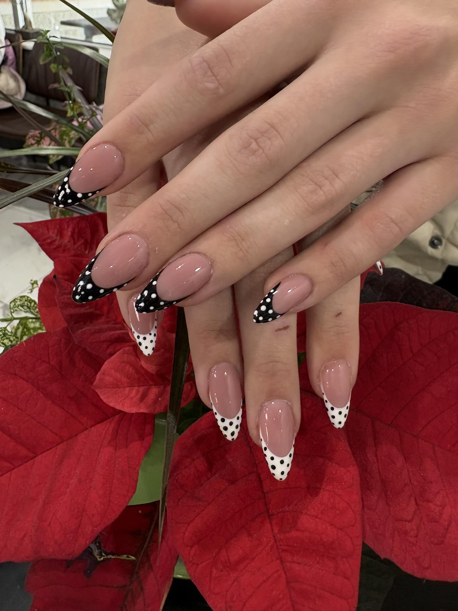 Sugar Nails